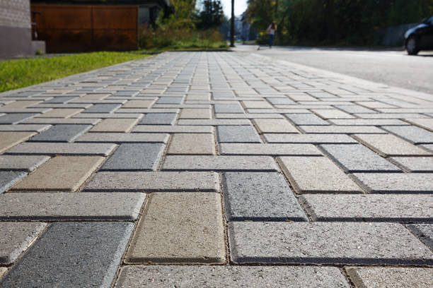 Best Local Driveway Pavers  in Brackettville, TX